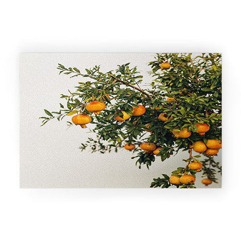 Romana Lilic  / LA76 Photography Pomegranates Welcome Mat
