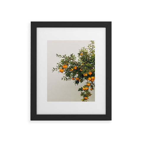 Romana Lilic  / LA76 Photography Pomegranates Framed Art Print