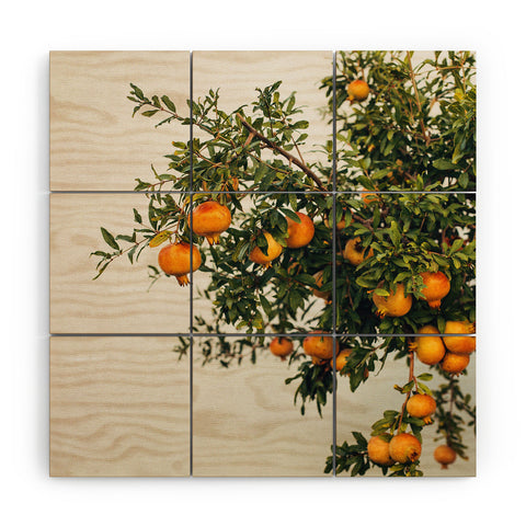 Romana Lilic  / LA76 Photography Pomegranates Wood Wall Mural