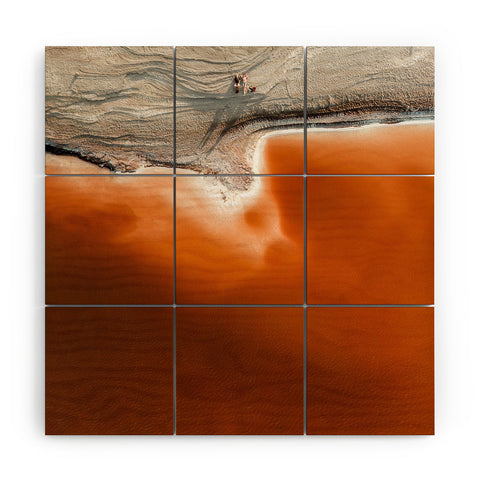 Romana Lilic  / LA76 Photography Red Pond in the Baja Desert vol 1 Wood Wall Mural