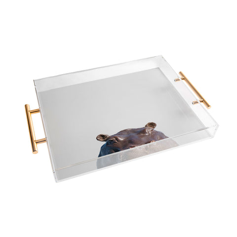 Rose and Julep Hippo Acrylic Tray