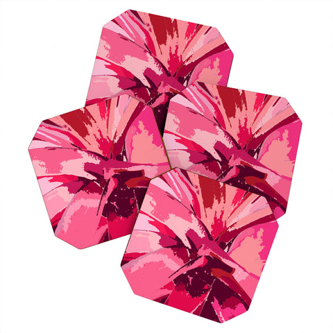 Rosie Brown Blushing Bromeliad Coaster Set