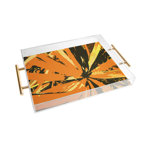 Rosie Brown Orange Bromeliad Acrylic Tray