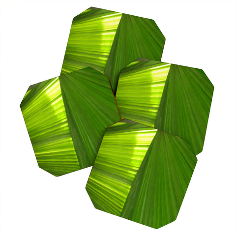 Rosie Brown Palms 2 Coaster Set