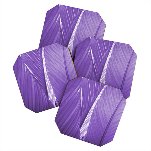Rosie Brown Purple Palms Coaster Set