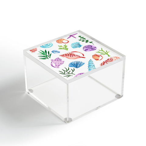 Sabina Fenn Illustration Seashells I Acrylic Box