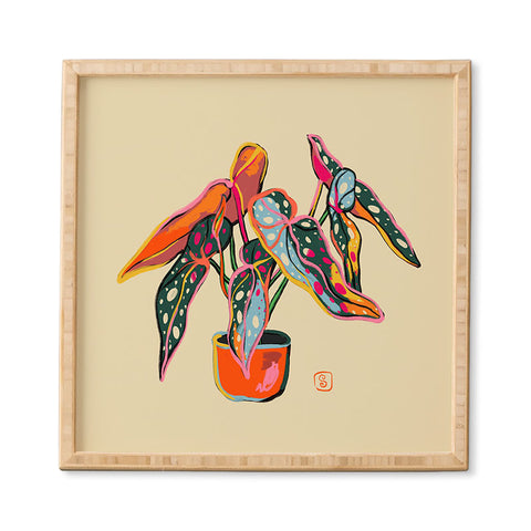 sandrapoliakov COLOURFUL BEGONIA PLANT Framed Wall Art