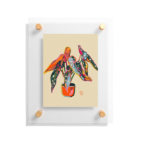 sandrapoliakov COLOURFUL BEGONIA PLANT Floating Acrylic Print