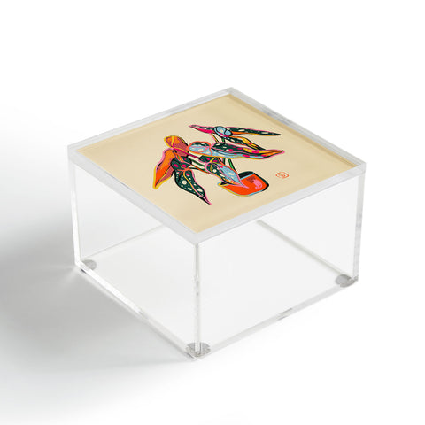sandrapoliakov COLOURFUL BEGONIA PLANT Acrylic Box