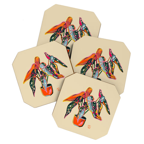 sandrapoliakov COLOURFUL BEGONIA PLANT Coaster Set