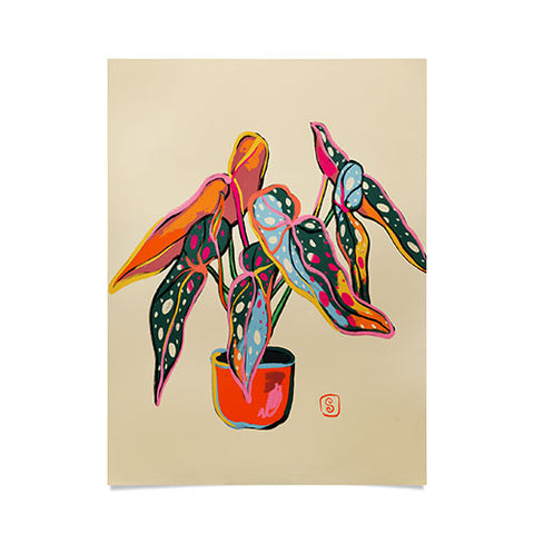 sandrapoliakov COLOURFUL BEGONIA PLANT Poster
