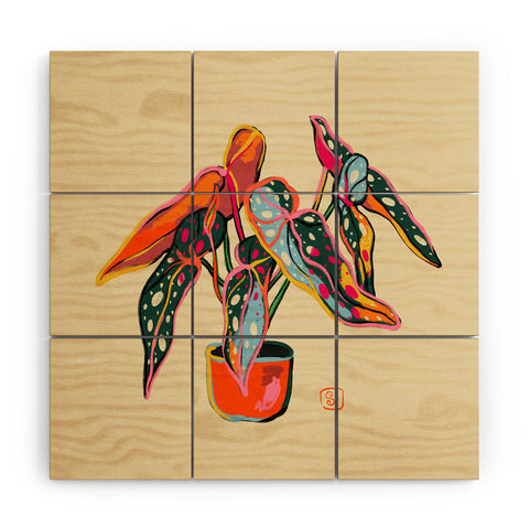 sandrapoliakov COLOURFUL BEGONIA PLANT Wood Wall Mural