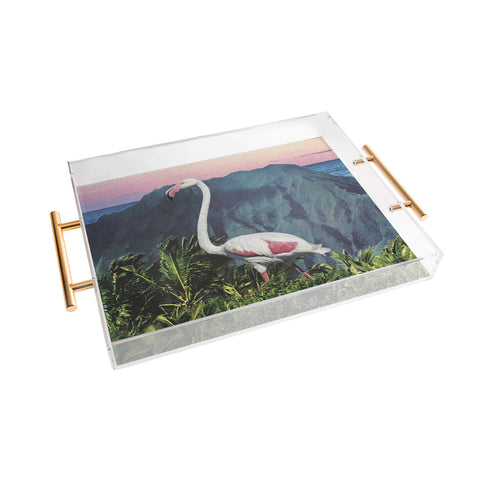 Sarah Eisenlohr Flamingo I Acrylic Tray