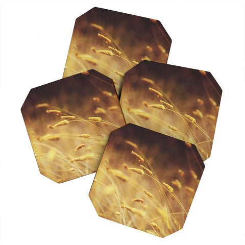 Shannon Clark Amber Coaster Set