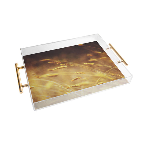 Shannon Clark Amber Acrylic Tray