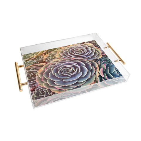Shannon Clark Desert Succulent Acrylic Tray