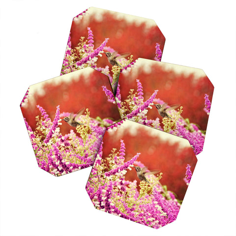 Shannon Clark Hummingbird 1 Coaster Set
