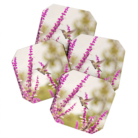 Shannon Clark Hummingbird 3 Coaster Set