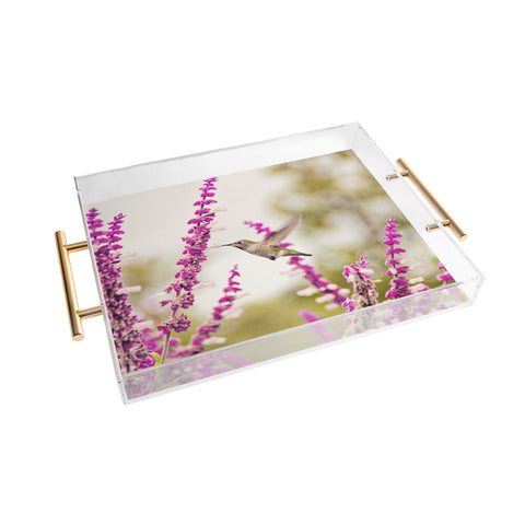 Shannon Clark Hummingbird 3 Acrylic Tray