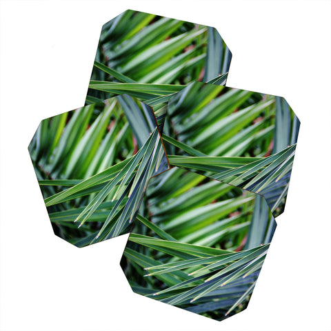 Shannon Clark Jungle Coaster Set