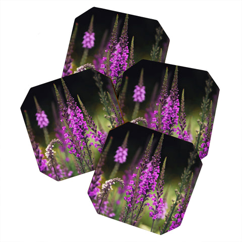 Shannon Clark March Coaster Set