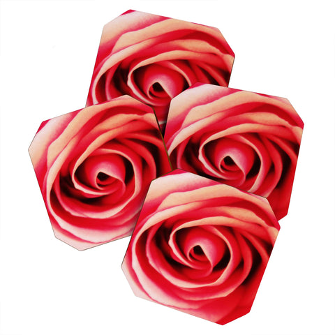 Shannon Clark Pink Rose 2 Coaster Set