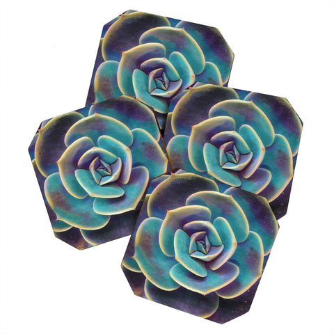 Shannon Clark Purple and Blue Succulent Coaster Set