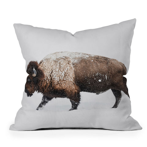 Sisi and Seb Bison II Outdoor Throw Pillow
