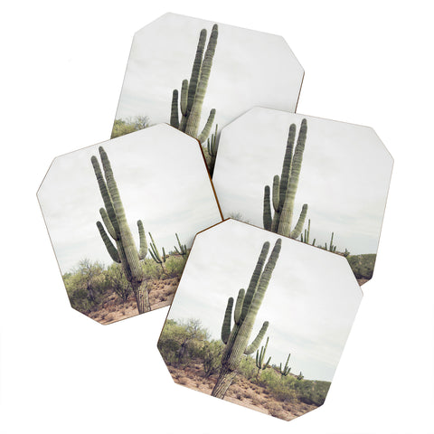 Sisi and Seb Cactus Land Coaster Set