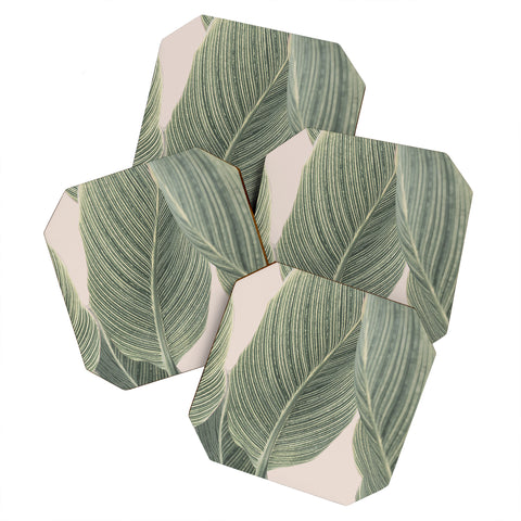 Sisi and Seb Calah Coaster Set