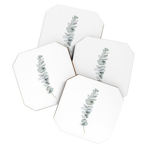 Sisi and Seb Mint Eucalyptus Coaster Set