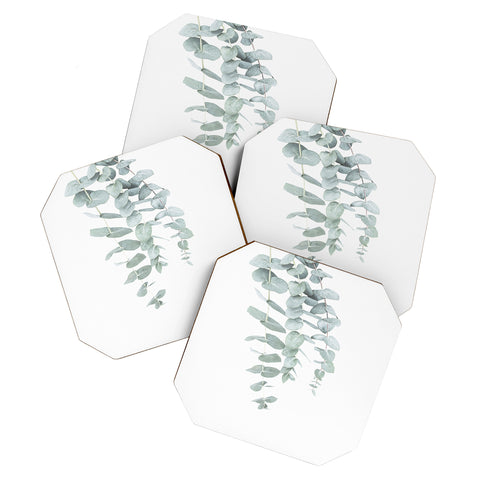 Sisi and Seb Mint Eucalyptus II Coaster Set