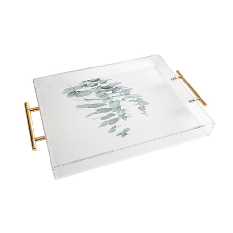 Sisi and Seb Mint Eucalyptus II Acrylic Tray