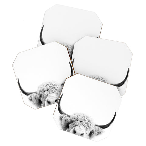 Sisi and Seb Peeking Highland Cow Coaster Set