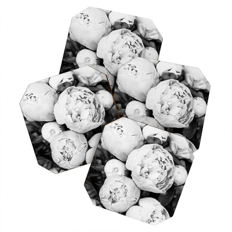 Sisi and Seb Peonies BW Coaster Set