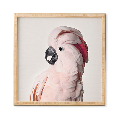 Sisi and Seb Pink Cockatoo Framed Wall Art