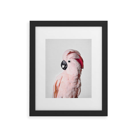 Sisi and Seb Pink Cockatoo Framed Art Print