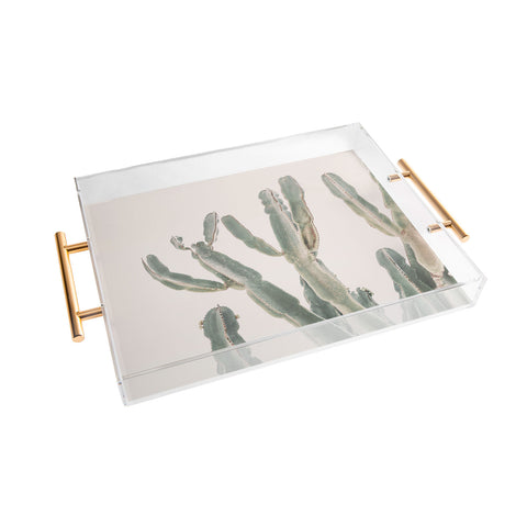Sisi and Seb Sunrise Cactus Acrylic Tray
