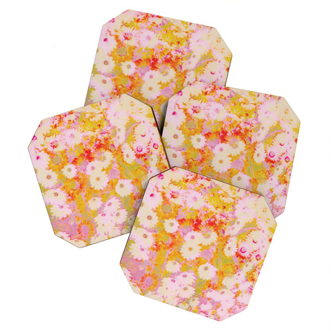 SunshineCanteen peace meadow Coaster Set