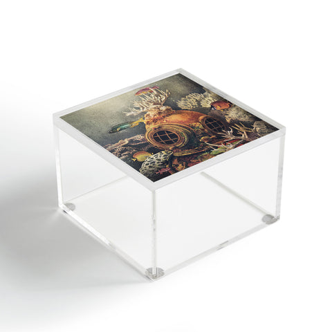 Terry Fan Sea Change Acrylic Box