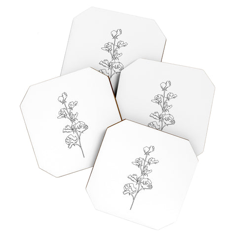 The Colour Study Cotton flower illustration Coaster Set