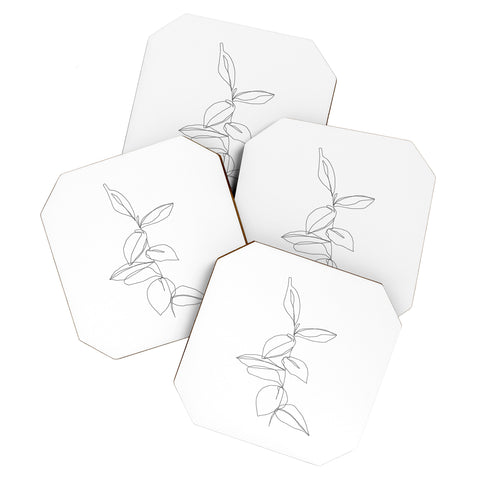 The Colour Study Plant illustration Berry Coaster Set