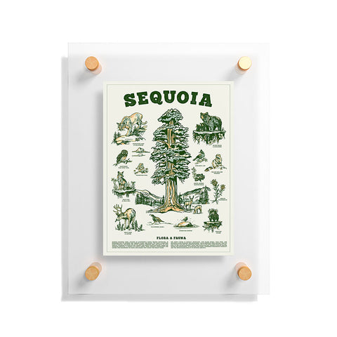 The Whiskey Ginger Sequoia National Park California Floating Acrylic Print