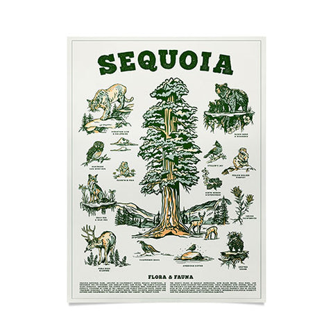 The Whiskey Ginger Sequoia National Park California Poster