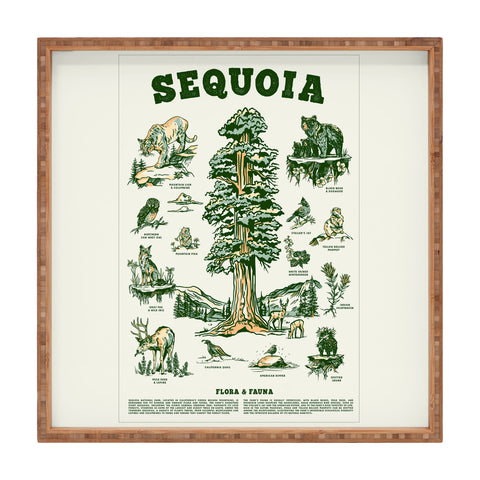 The Whiskey Ginger Sequoia National Park California Square Tray