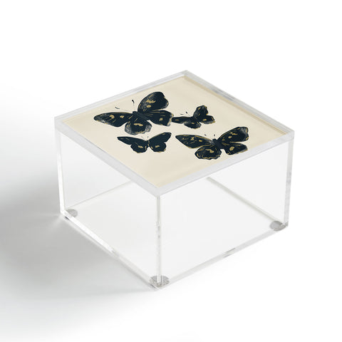 ThingDesign Black Butterflies 2 Acrylic Box