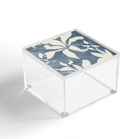 ThingDesign Botanical Abstract Art 12 Acrylic Box