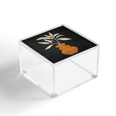ThingDesign Minimal Abstract Art Vase Plant 11 Acrylic Box