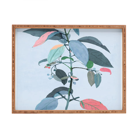 ThingDesign minimal plant 38 Rectangular Tray