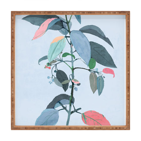 ThingDesign minimal plant 38 Square Tray